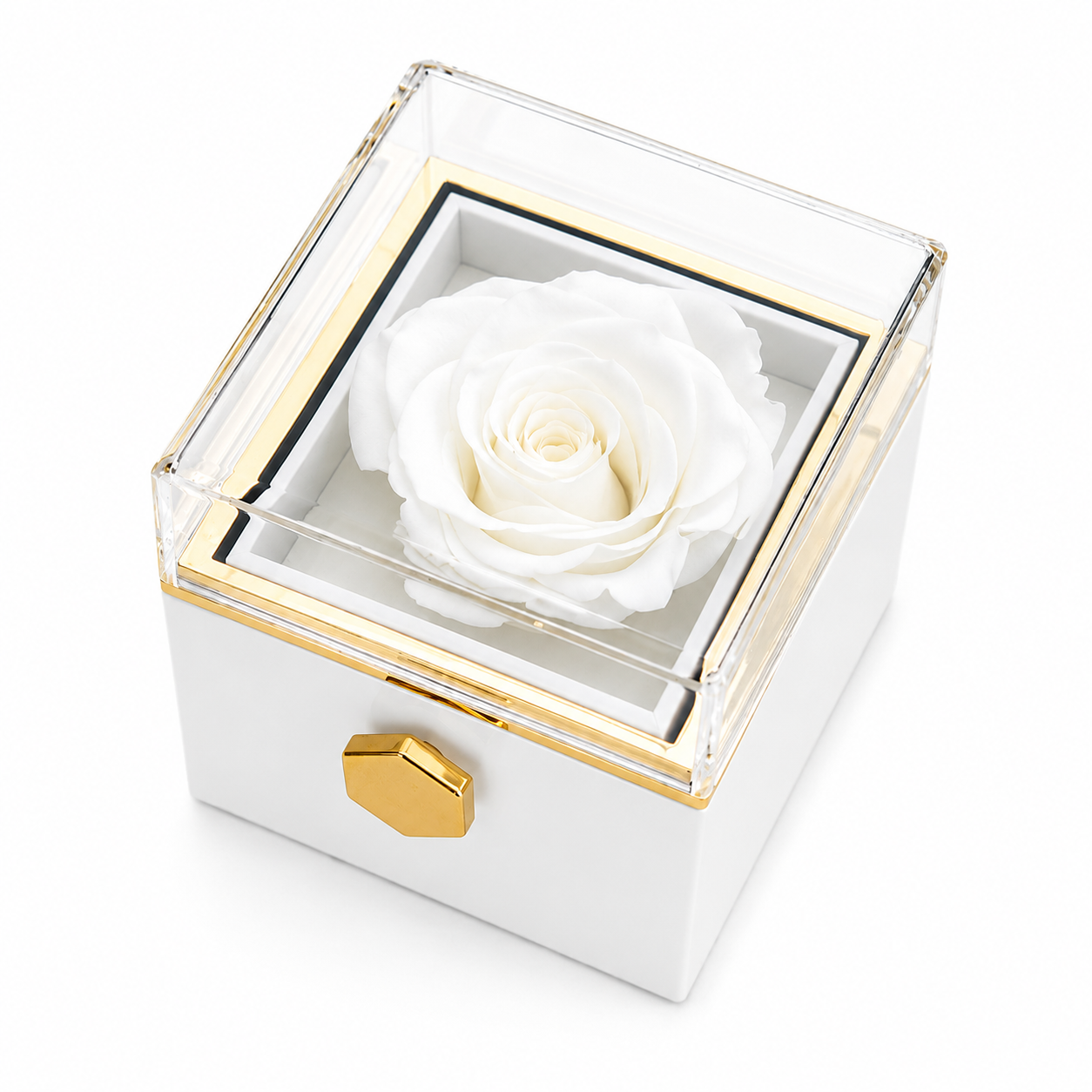 CONFEZIONE REGALO ROSA ETERNA